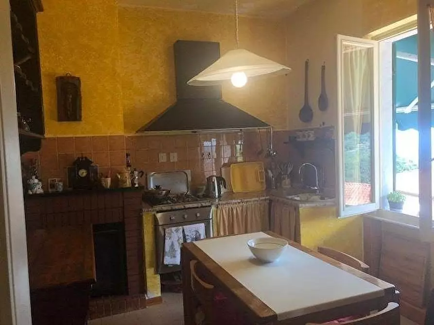 Immagine 10 di Villa in vendita  a Massa