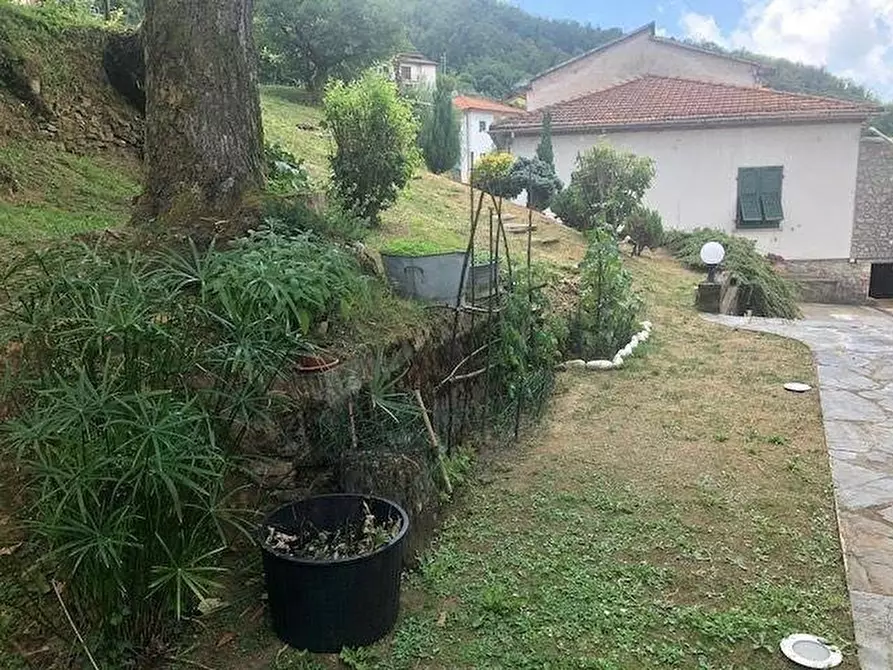 Immagine 2 di Villa in vendita  a Massa