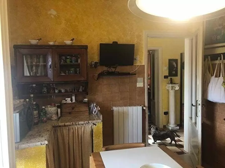 Immagine 11 di Villa in vendita  a Massa