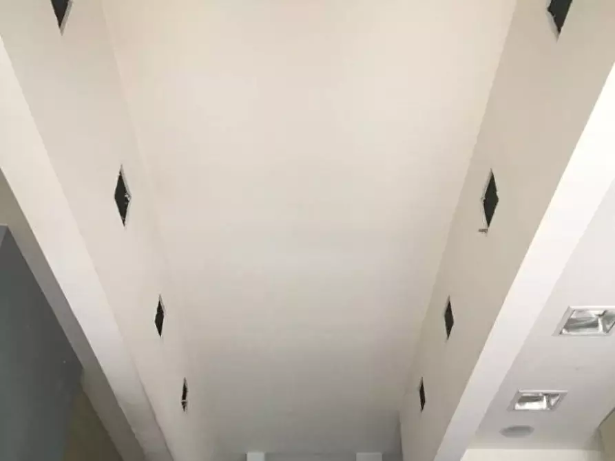 Immagine 4 di Negozio in affitto  a Massa