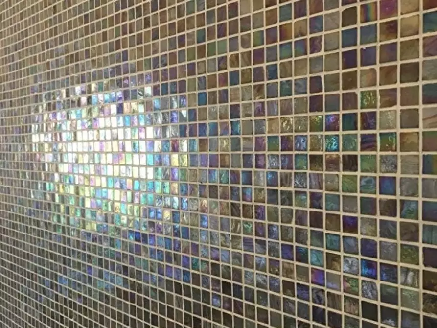 Immagine 12 di Appartamento in vendita  a Massa