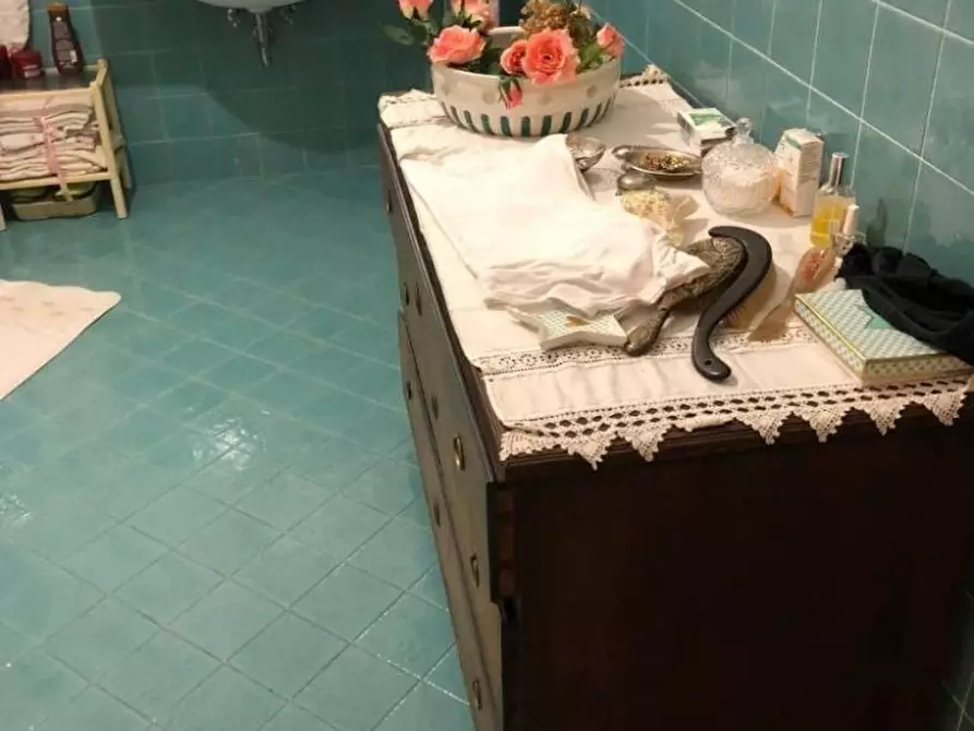 Immagine 16 di Appartamento in vendita  a Massa