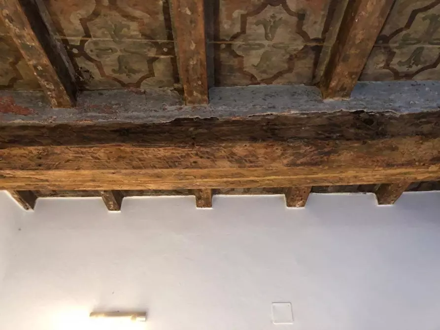 Immagine 11 di Appartamento in vendita  a Massa