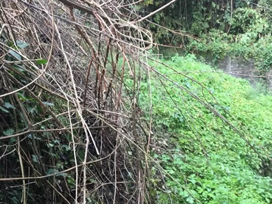 Immagine 12 di Casa indipendente in vendita  a Massa