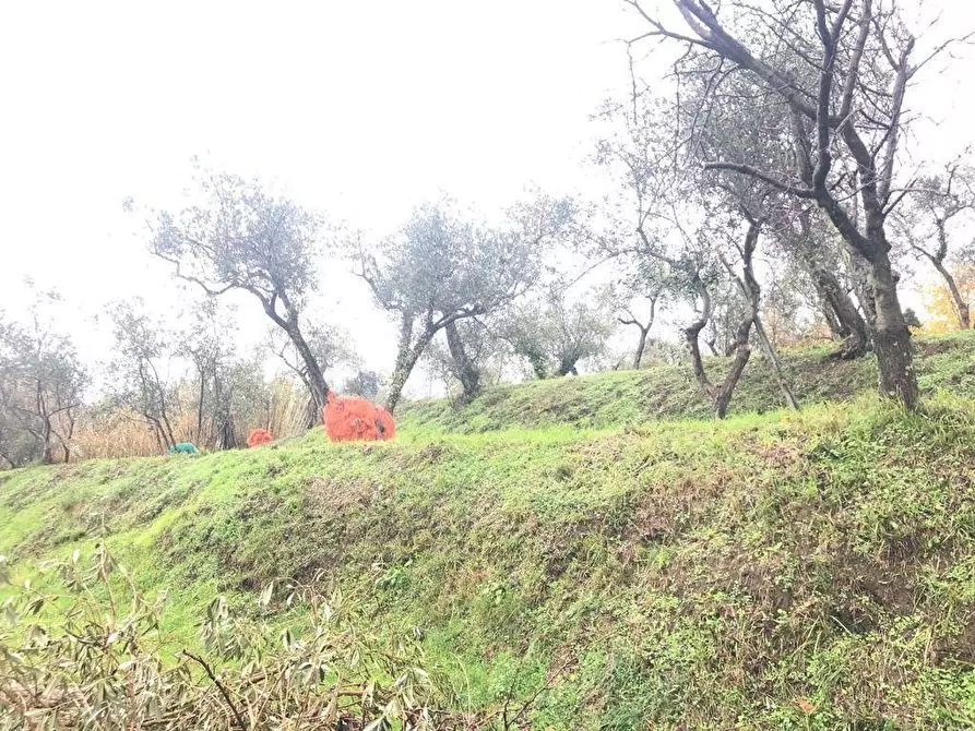 Immagine 2 di Attività artigianale in vendita  a Fosdinovo