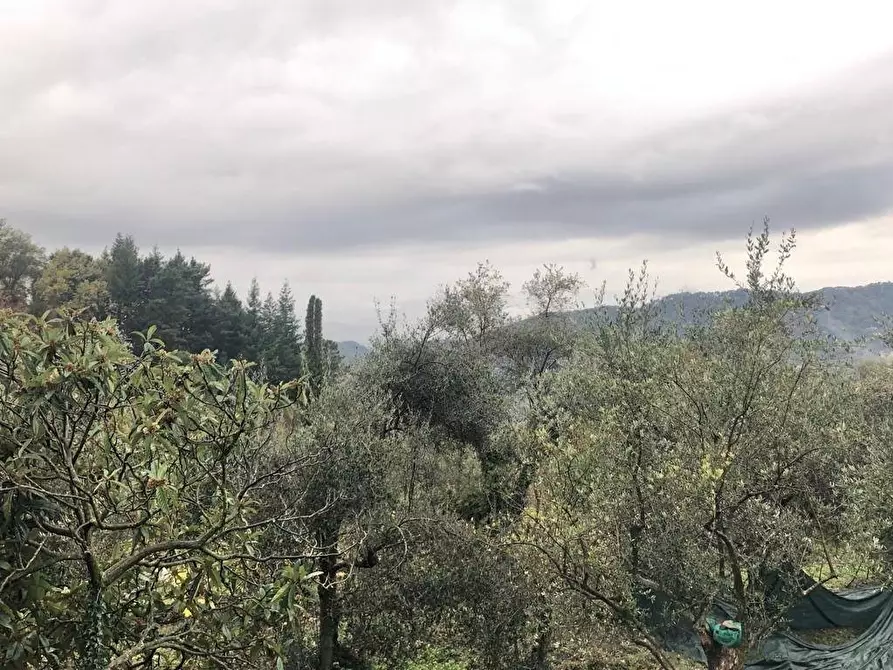 Immagine 3 di Attività artigianale in vendita  a Fosdinovo