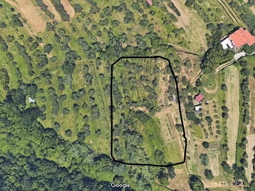 Immagine 4 di Attività artigianale in vendita  a Fosdinovo