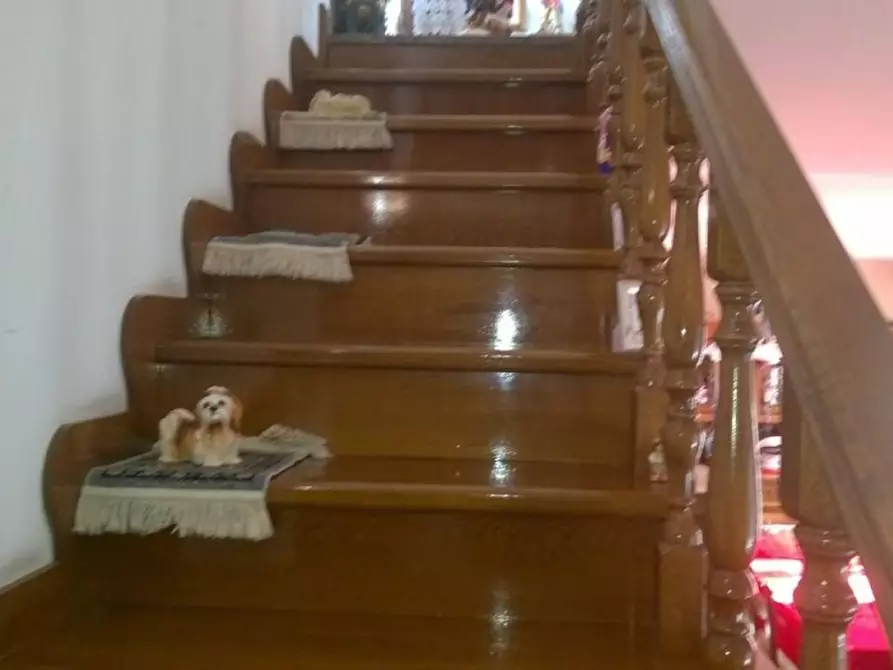 Immagine 12 di Casa indipendente in vendita  a Massa