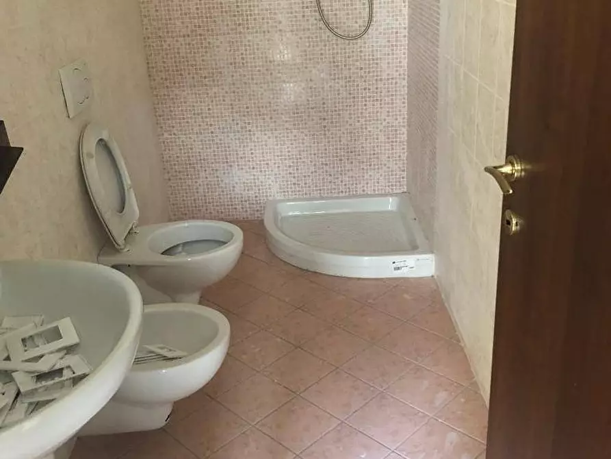 Immagine 5 di Negozio in affitto  a Massa