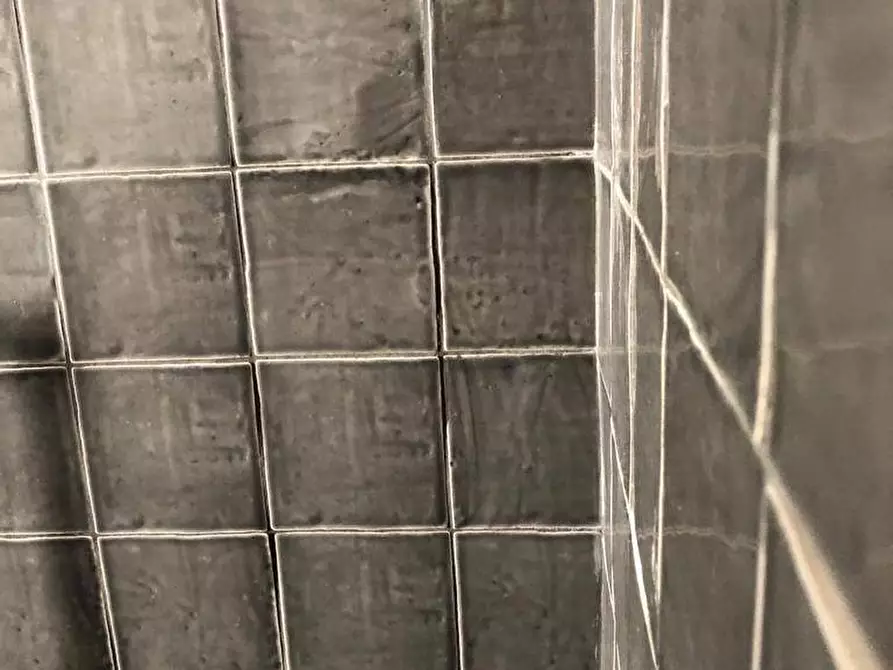 Immagine 11 di Appartamento in vendita  a Viareggio