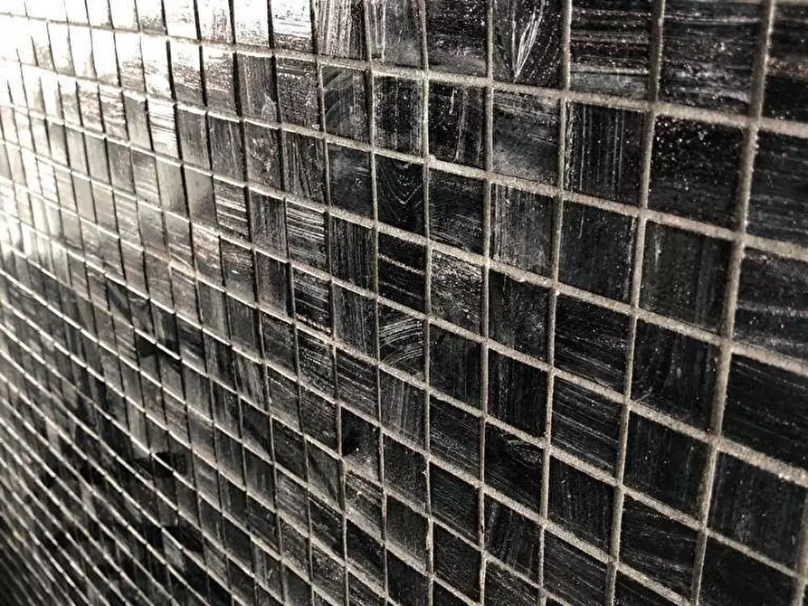 Immagine 17 di Appartamento in vendita  a Viareggio