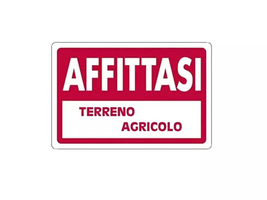 Immagine 1 di Attività artigianale in affitto  a Massa