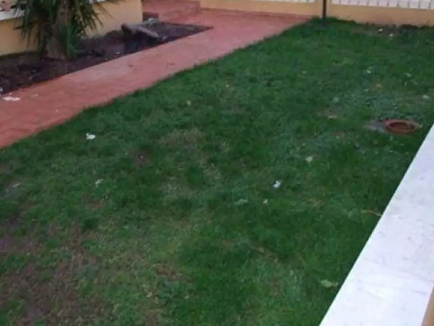 Immagine 14 di Villetta a schiera in vendita  a Massa