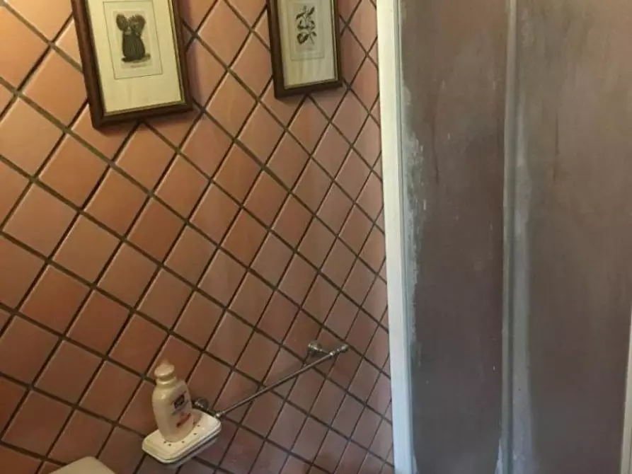 Immagine 19 di Villa in vendita  a Carrara