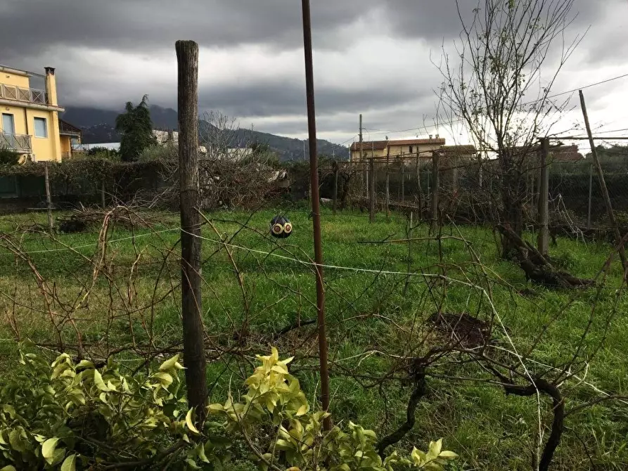 Immagine 14 di Casa indipendente in vendita  a Massa