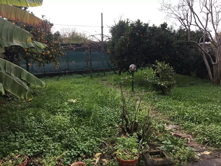 Immagine 13 di Casa indipendente in vendita  a Massa