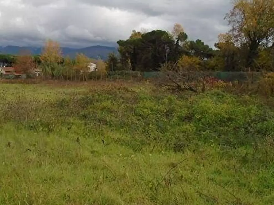 Immagine 2 di Attività artigianale in vendita  a Massa