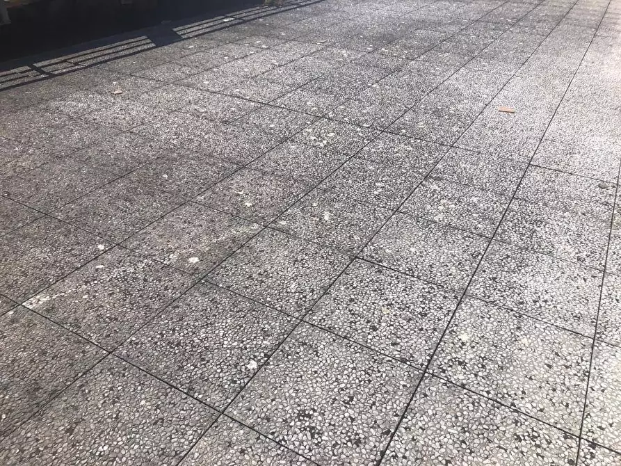 Immagine 13 di Ufficio in affitto  a Carrara