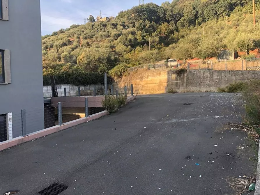 Immagine 6 di Attività artigianale in affitto  a Massa