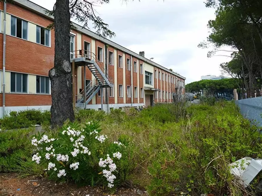 Immagine 4 di Palazzo in vendita  a Massa