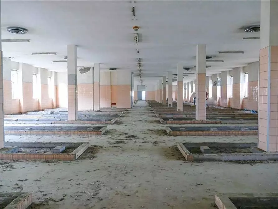 Immagine 5 di Palazzo in vendita  a Massa