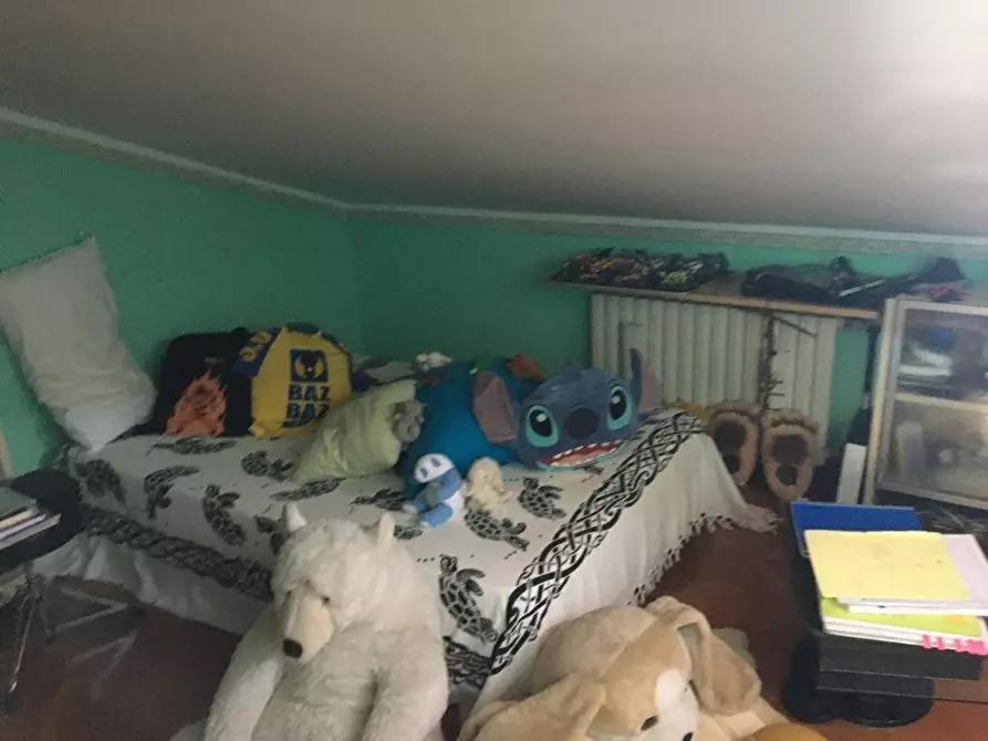 Immagine 13 di Appartamento in vendita  a Massa