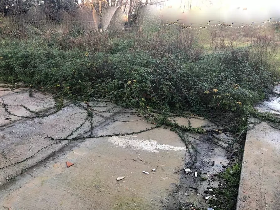 Immagine 7 di Capannone industriale in affitto  a Carrara