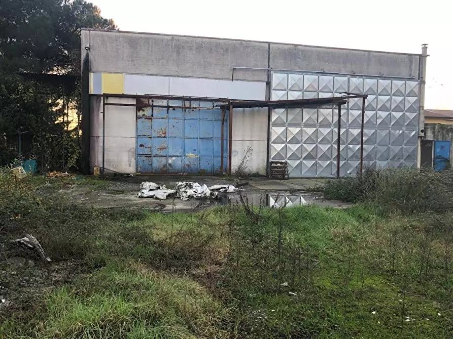 Immagine 4 di Capannone industriale in affitto  a Carrara