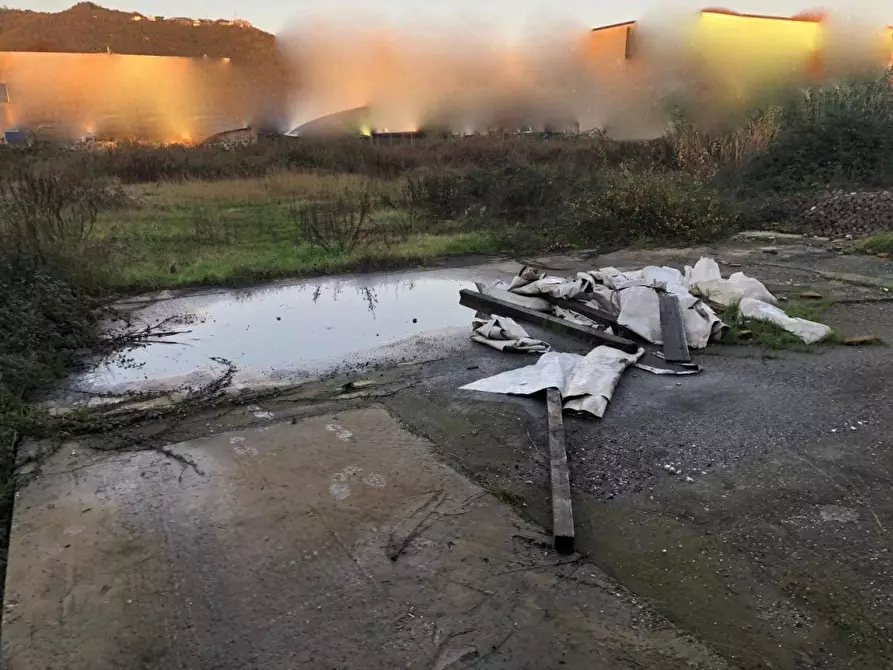 Immagine 6 di Capannone industriale in affitto  a Carrara