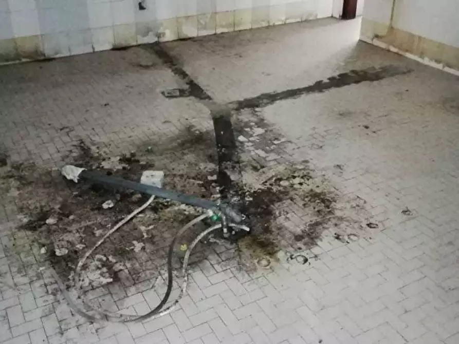 Immagine 6 di Negozio in vendita  a Forte Dei Marmi