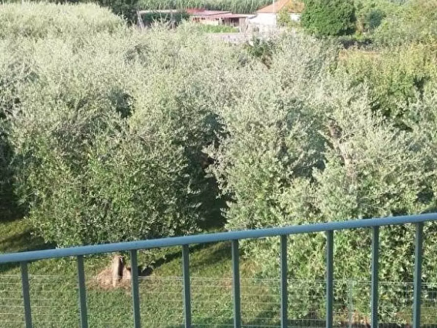 Immagine 18 di Villetta a schiera in vendita  a Massa