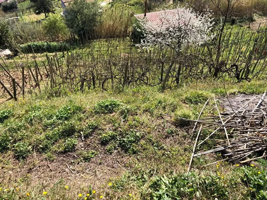 Immagine 6 di Capannone industriale in vendita  a Massa