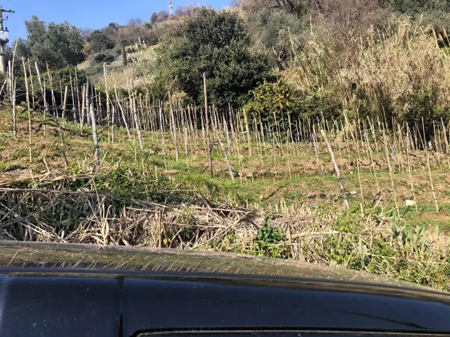 Immagine 12 di Capannone industriale in vendita  a Massa