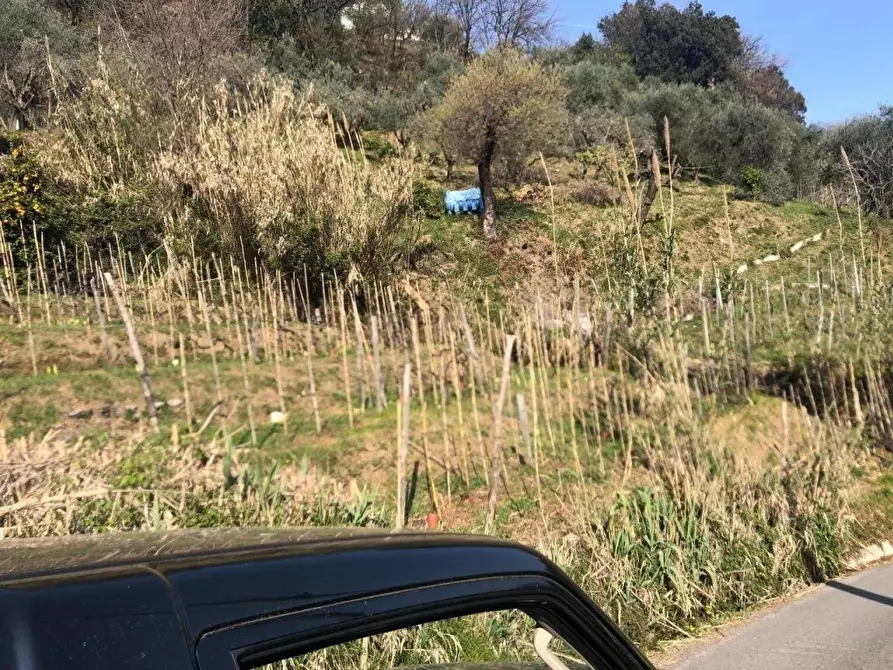 Immagine 15 di Capannone industriale in vendita  a Massa