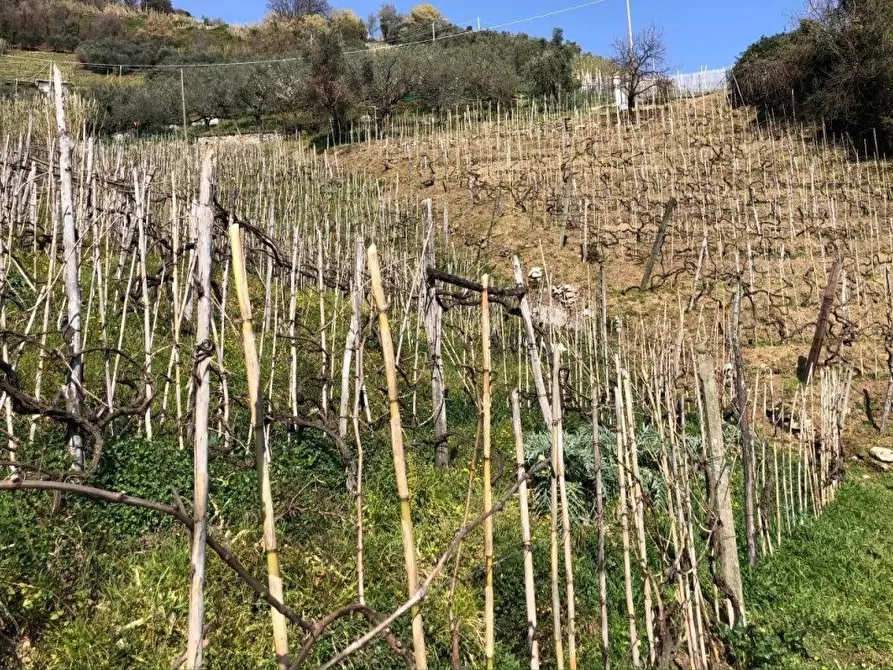 Immagine 11 di Capannone industriale in vendita  a Massa