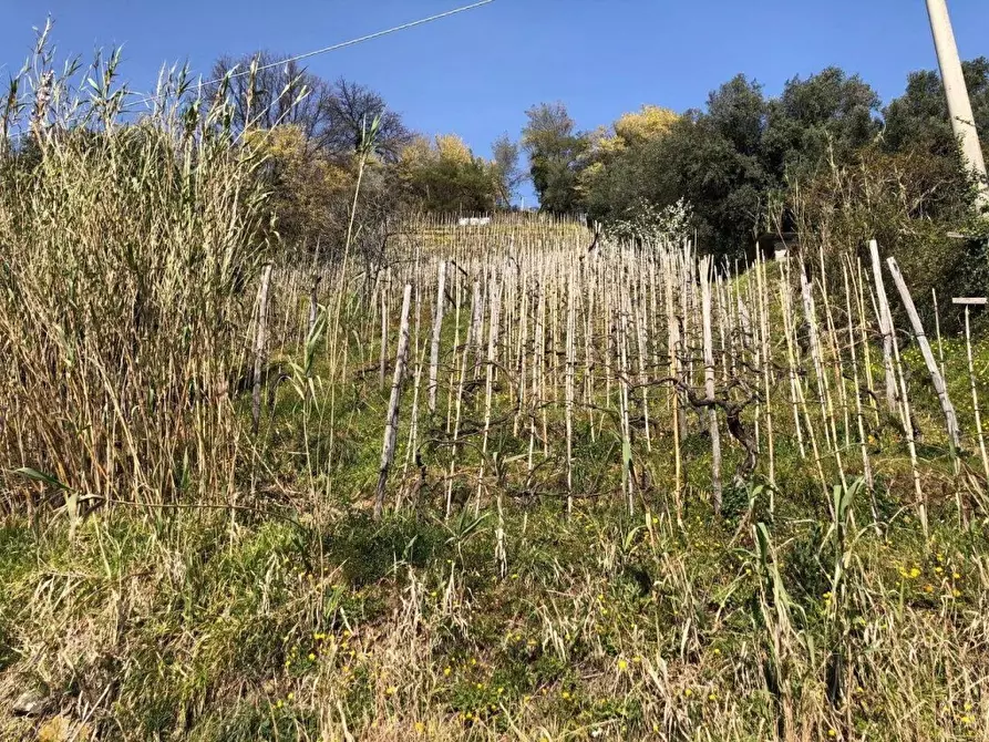 Immagine 4 di Capannone industriale in vendita  a Massa