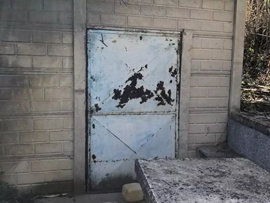 Immagine 3 di Capannone industriale in vendita  a Massa