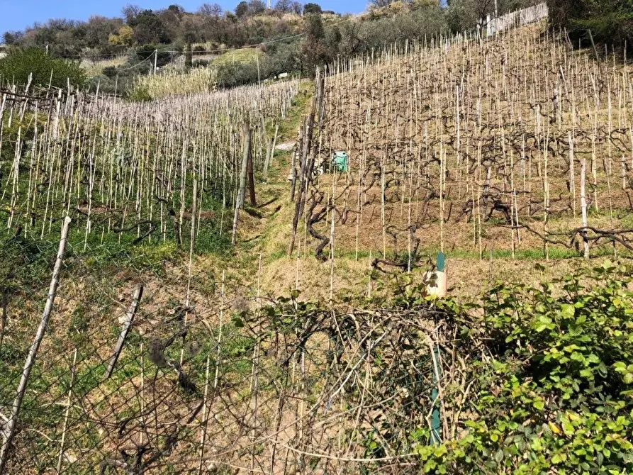 Immagine 7 di Capannone industriale in vendita  a Massa