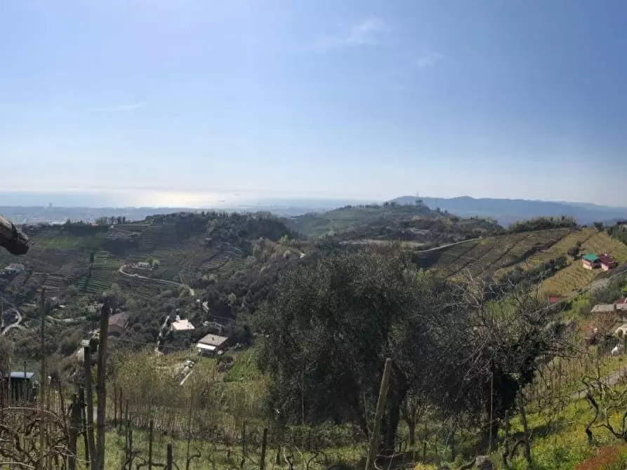 Immagine 1 di Capannone industriale in vendita  a Massa