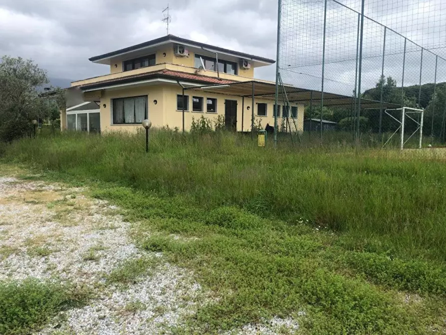 Immagine 11 di Negozio in affitto  a Massa