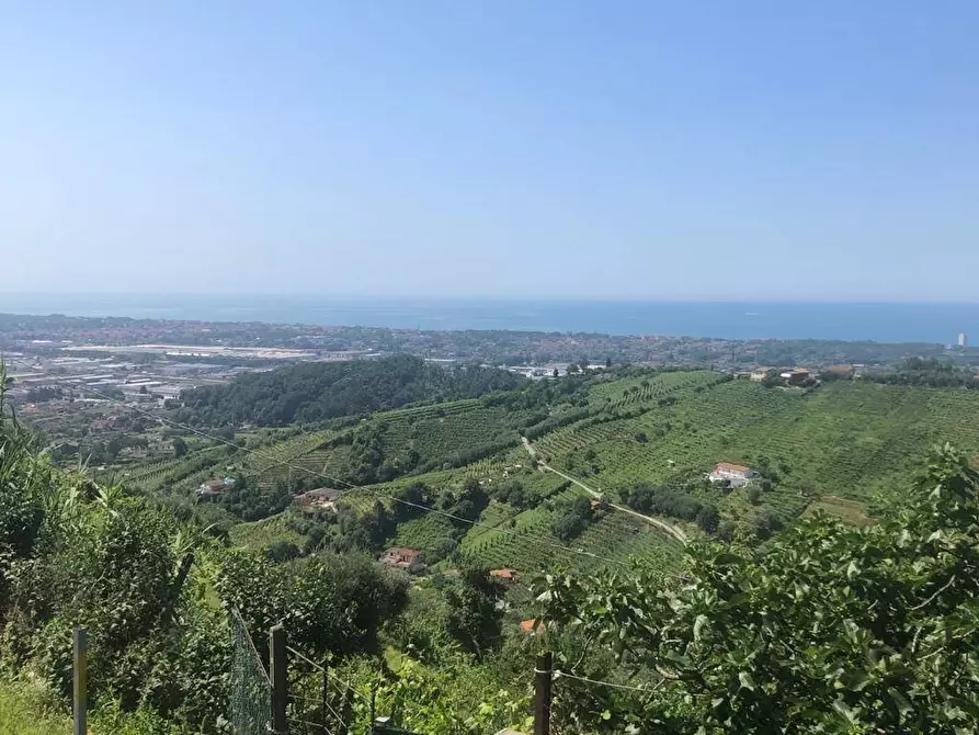 Immagine 3 di Attività artigianale in vendita  a Massa