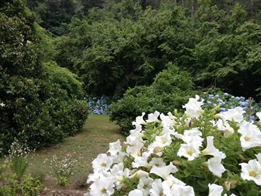 Immagine 3 di Appartamento in affitto  a Lucca