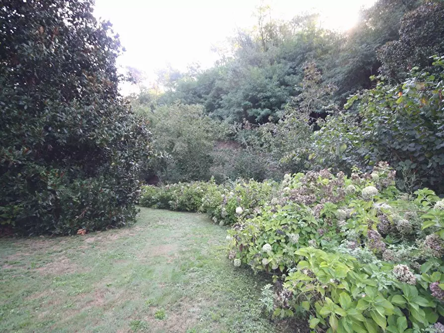 Immagine 11 di Appartamento in affitto  a Lucca