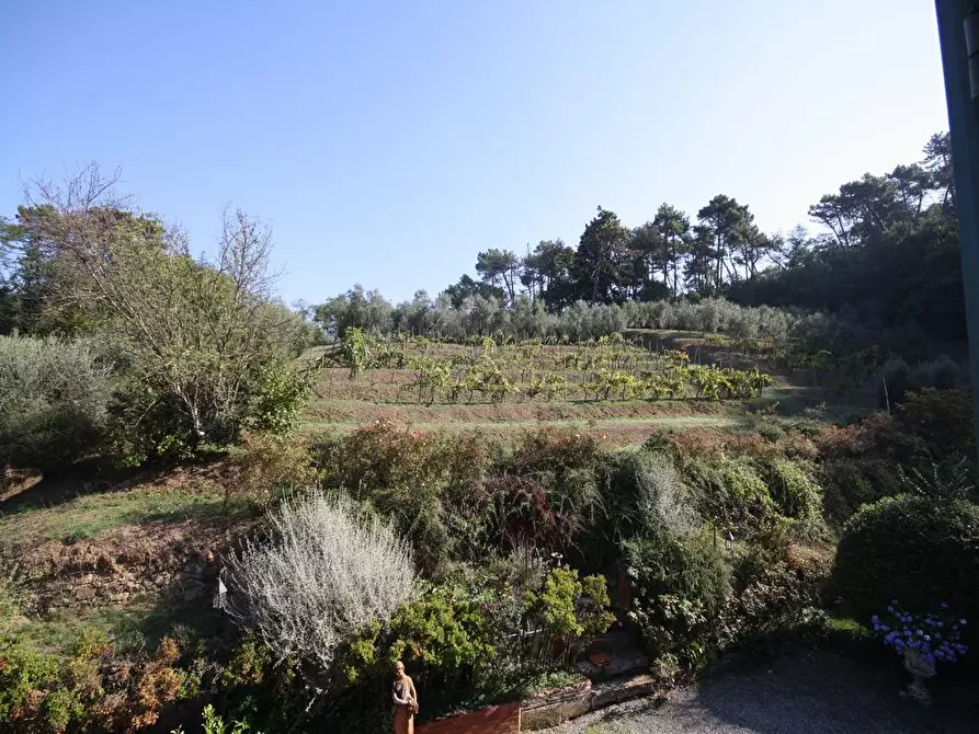 Immagine 22 di Appartamento in affitto  a Lucca