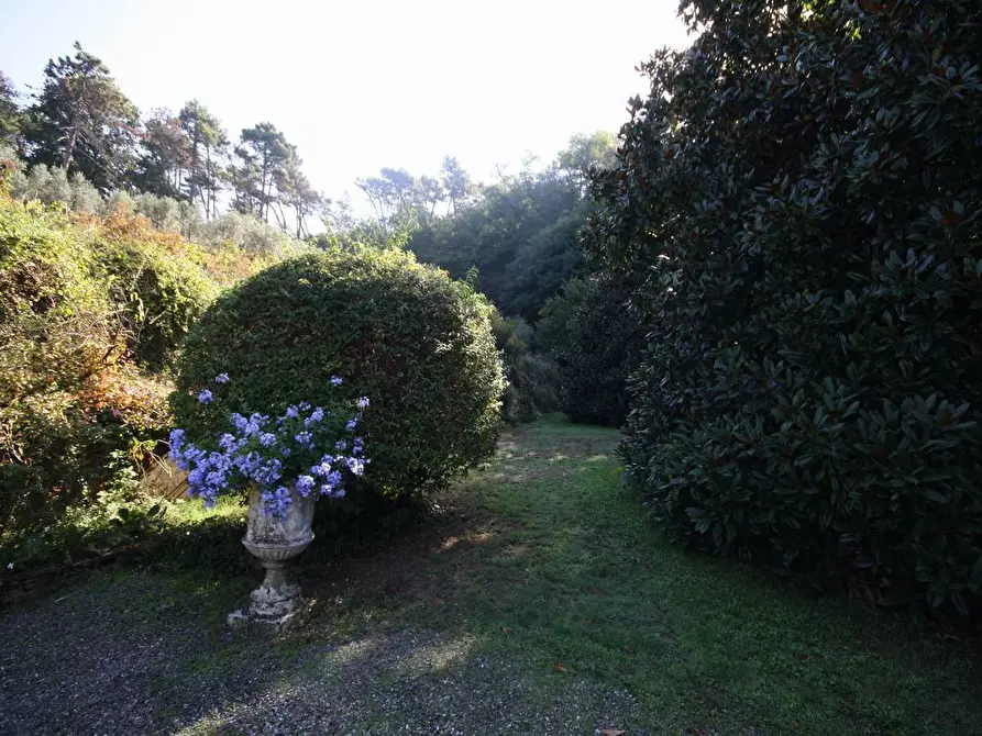 Immagine 31 di Appartamento in affitto  a Lucca