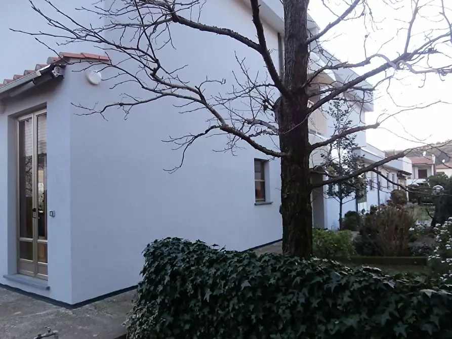 Immagine 3 di Villa in vendita  a Vecchiano