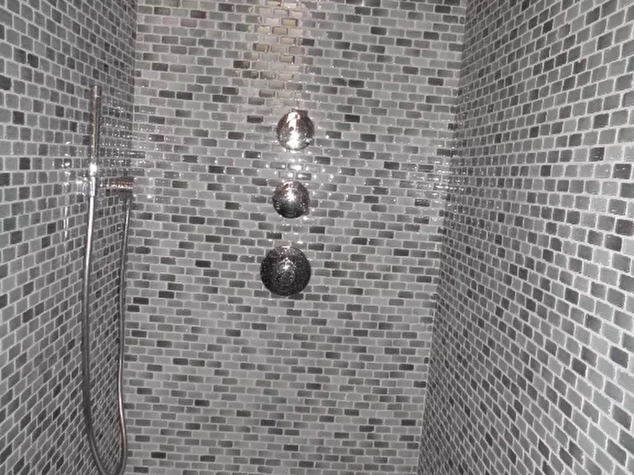 Immagine 9 di Appartamento in vendita  a Viareggio