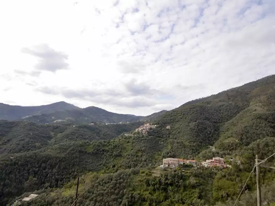 Immagine 7 di Porzione di casa in vendita  a Levanto