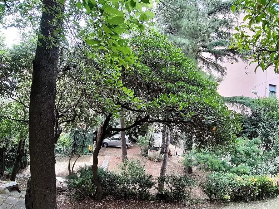 Immagine 4 di Appartamento in vendita  a Portovenere