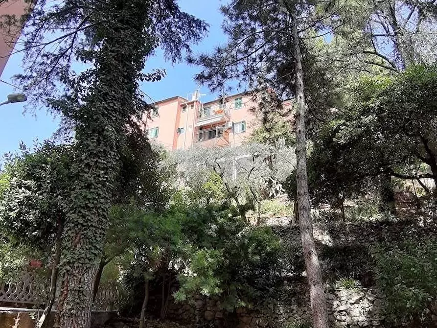 Immagine 3 di Appartamento in vendita  a Portovenere